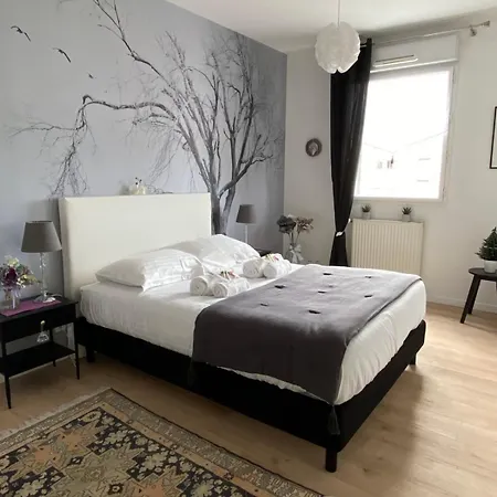 L'aragon - Wifi - Balcon Vue La Maine Apartmán Angers